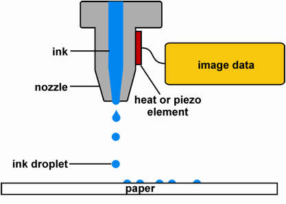 dau-phun-muc-canon dau-phun-muc-canon